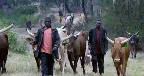 ‘Vacate Our Land & Forests Within 2 Months Or Be Killed’- Igbo Group Warns Herdsmen